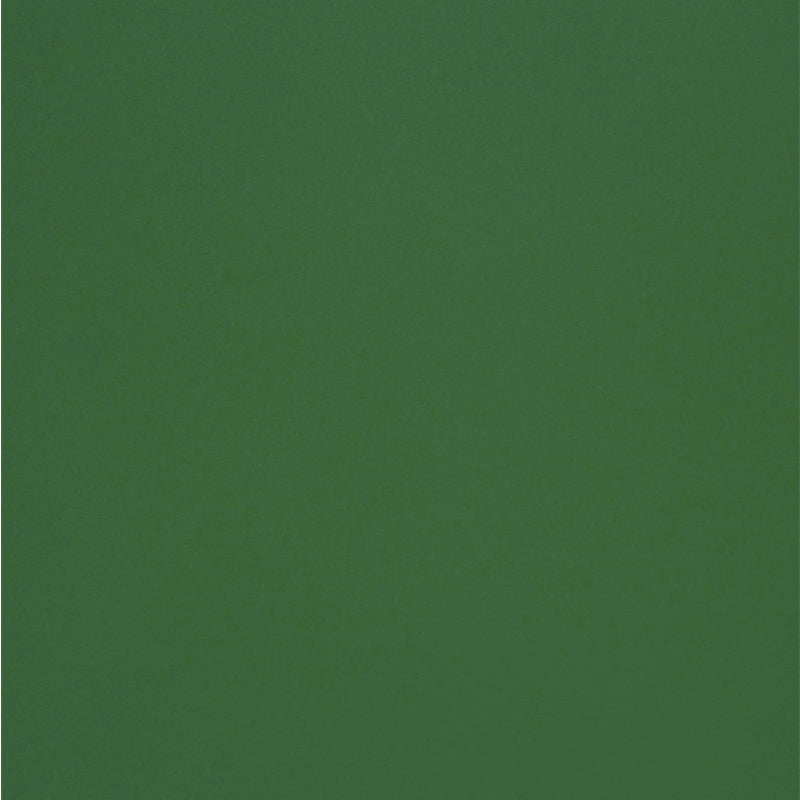 Spalvotas popierius OLIN, 70 x 100 cm, 240 g/m2, Jungle Green, 1 lapas