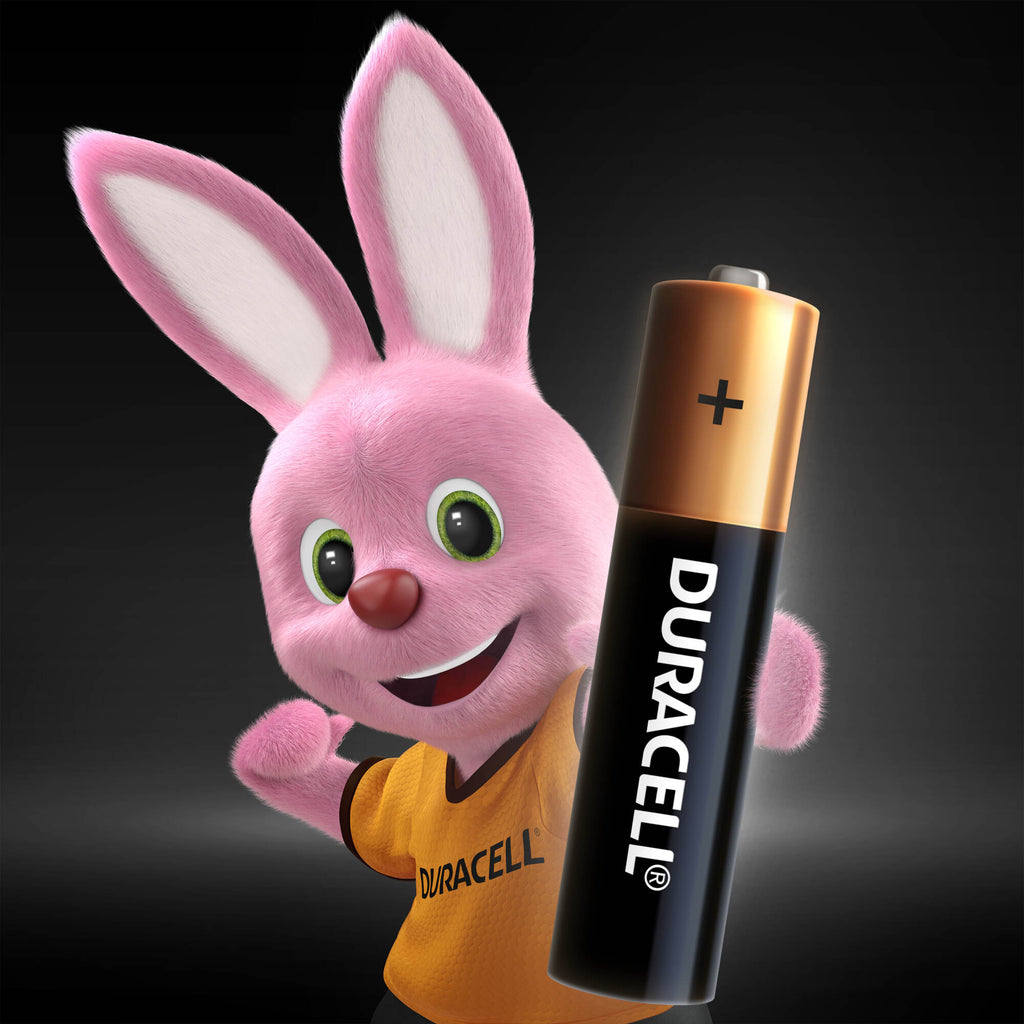 „Duracell“ šarminės AAA baterijos, 12 baterijų pakuotė